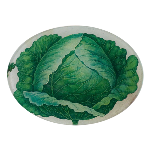 Fad, kål