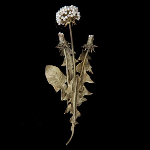 Mælkebøtte broche