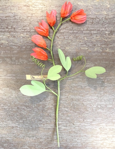 Ærteblomst