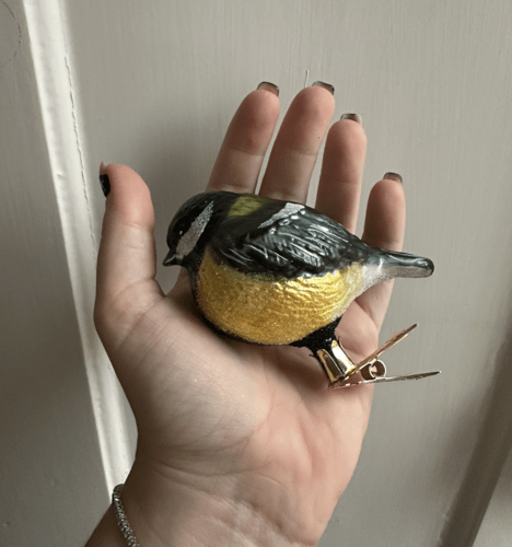 Glaspynt, musvit Glaspynt, musvit