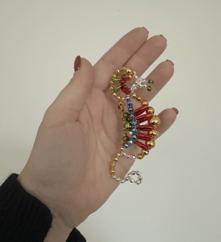 Glaspynt, søstjerne